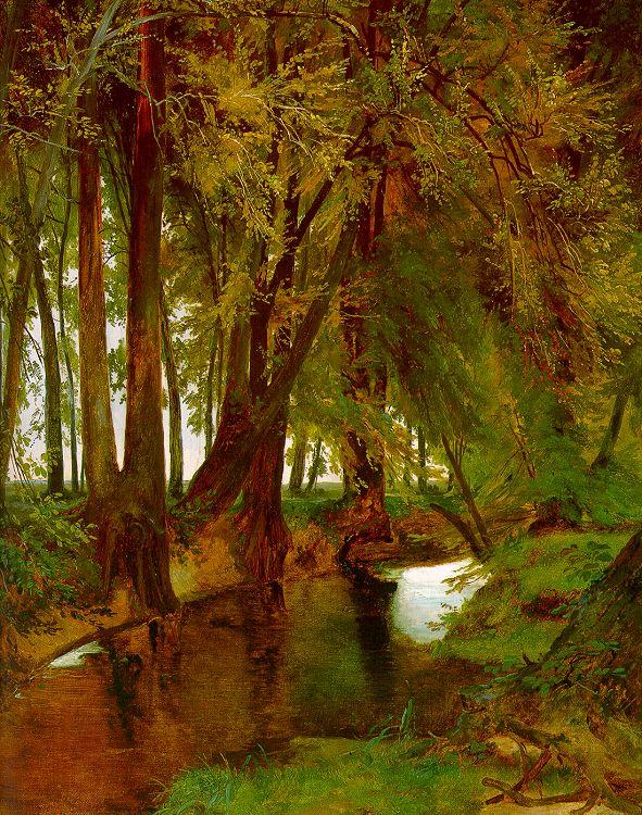 Charles Blechen Woodland with Brook oil painting picture